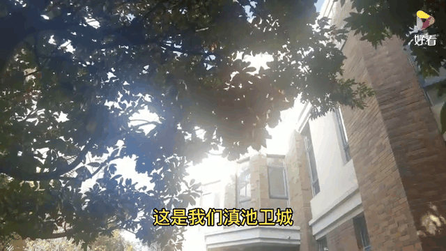 关于青岛更新杨瀚森租房现状！层高逼仄难站直，网友：打出身价换别墅的信息